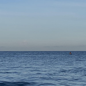 大诗瑶和芷仪的付费原因与影响评价
