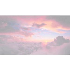 大诗瑶和芷仪的付费原因与影响评价
